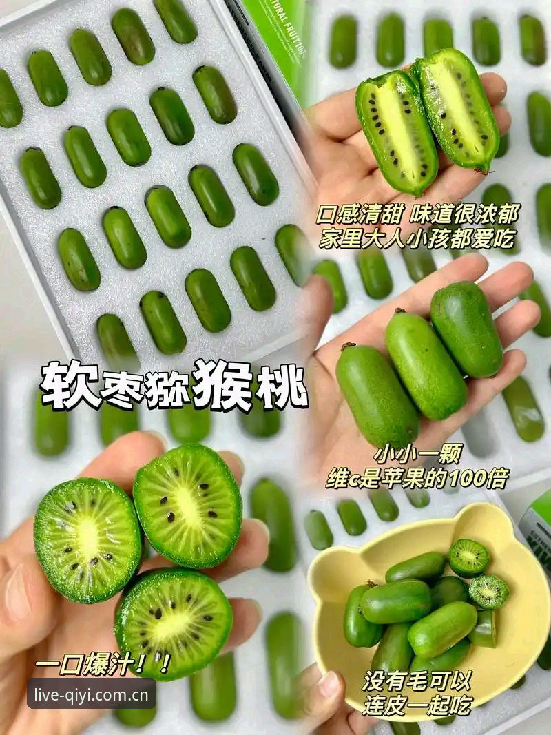 奇异果体育热爱不掉线功能详解 奇异果体育热爱不掉线功能详解:从入门到精通的使用指南
