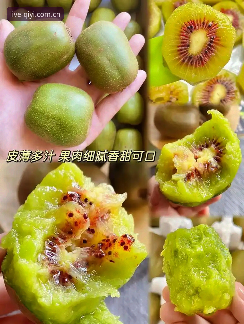 奇异果体育流畅攻略 奇异果体育流畅攻略深度评测:从卡顿到零延迟的全面体验报告